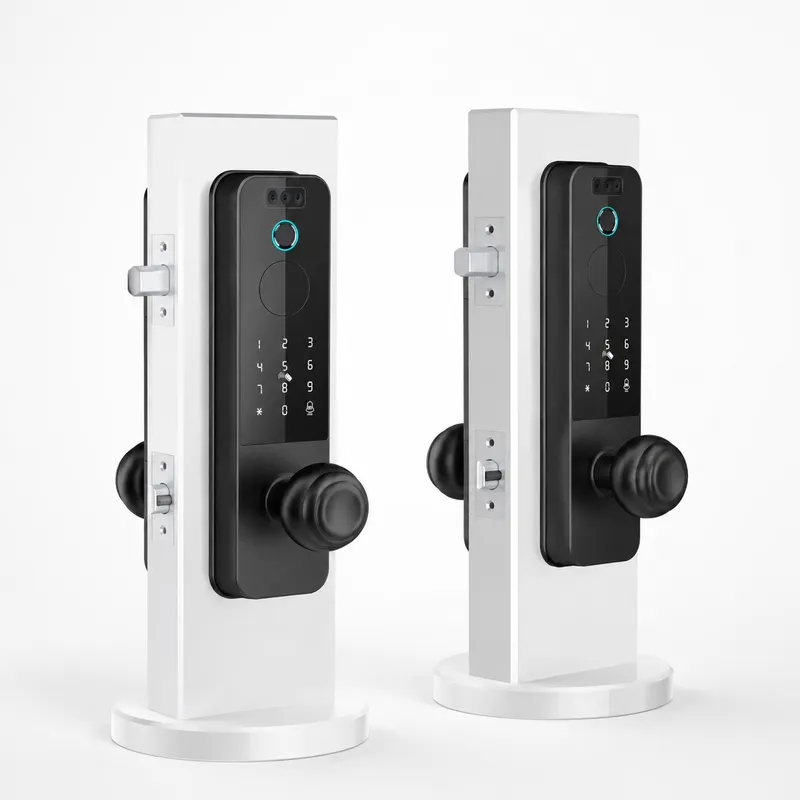 Serrure de porte en bois trans - Smart Door Lock Wifi avis et prix