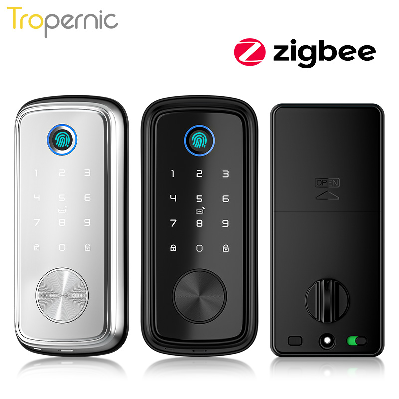 Tuya Zigbee-Serrures à pêne do - Smart Door Lock Wifi avis et prix